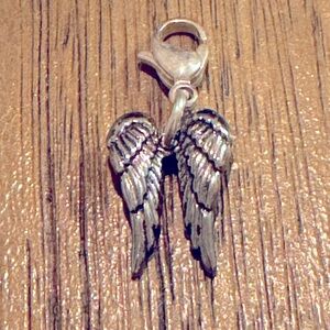 Angel wings Charm!